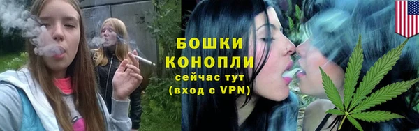 МДПВ Богородск