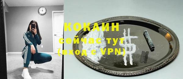 шишки Беломорск