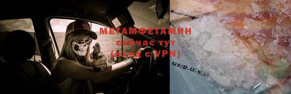шишки Беломорск