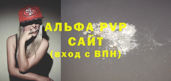 шишки Беломорск