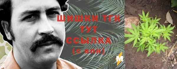 СК Богородицк