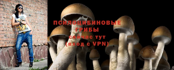 apvp Белокуриха
